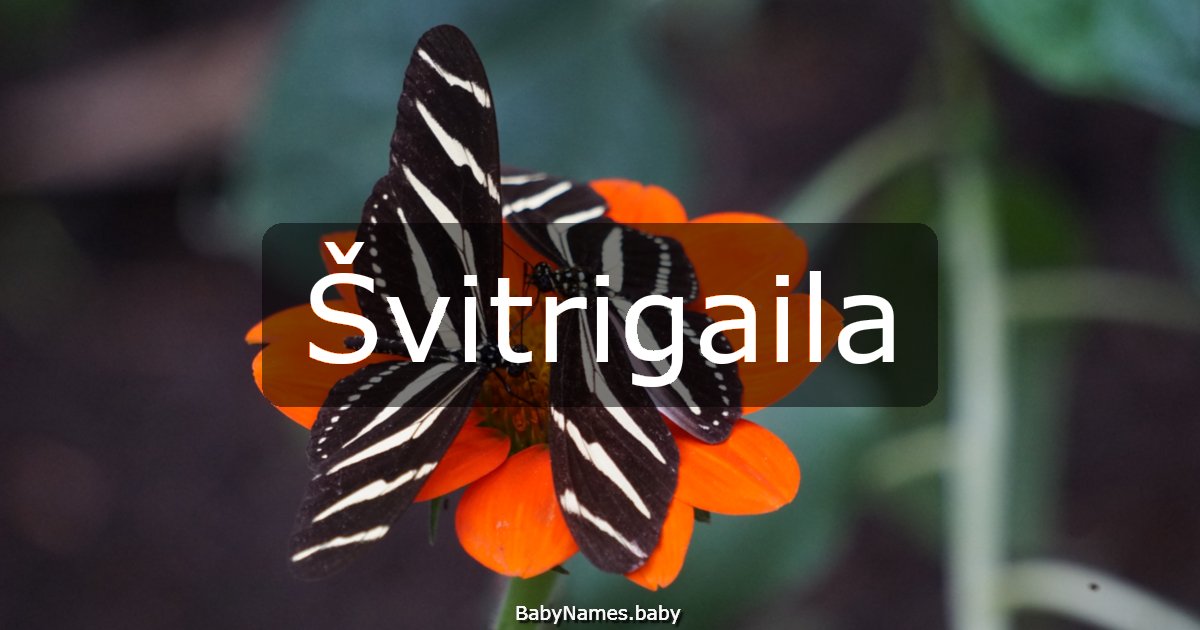 Švitrigaila