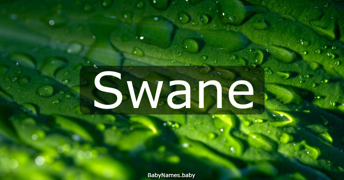 Swane
