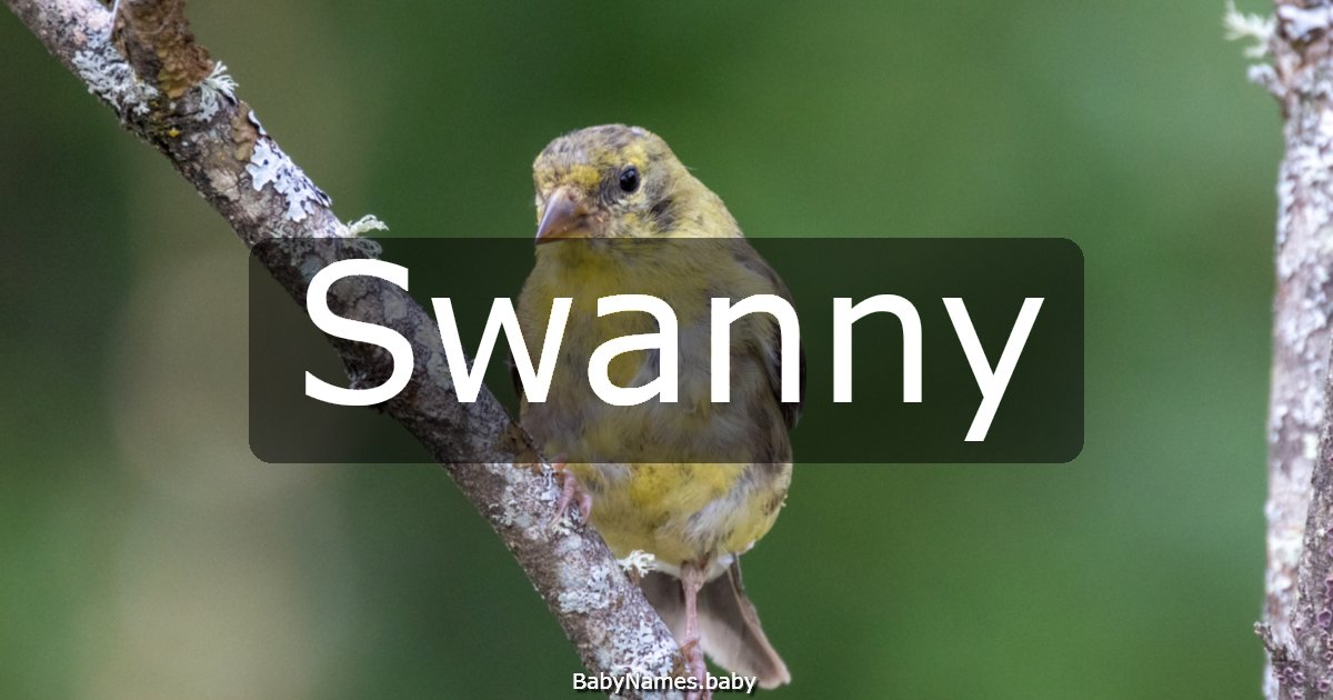 Swanny