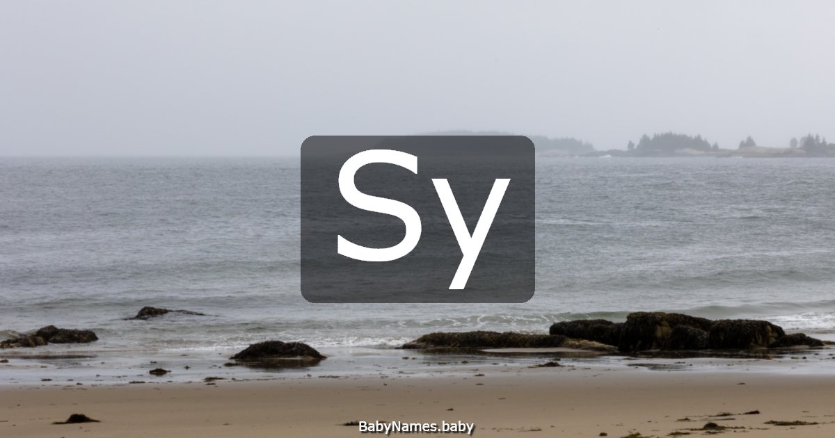 Sy