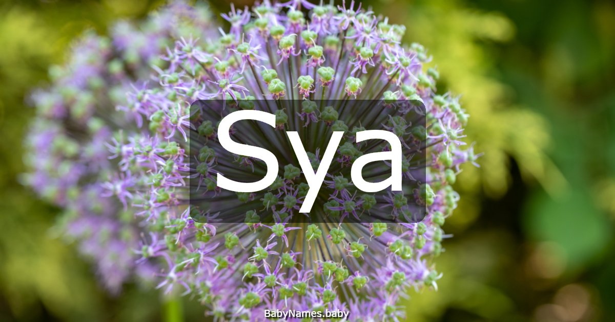 Sya
