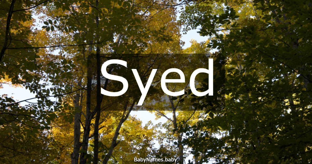 Syed
