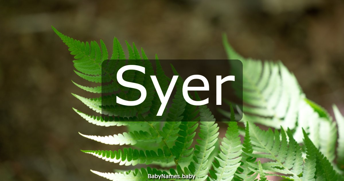 Syer