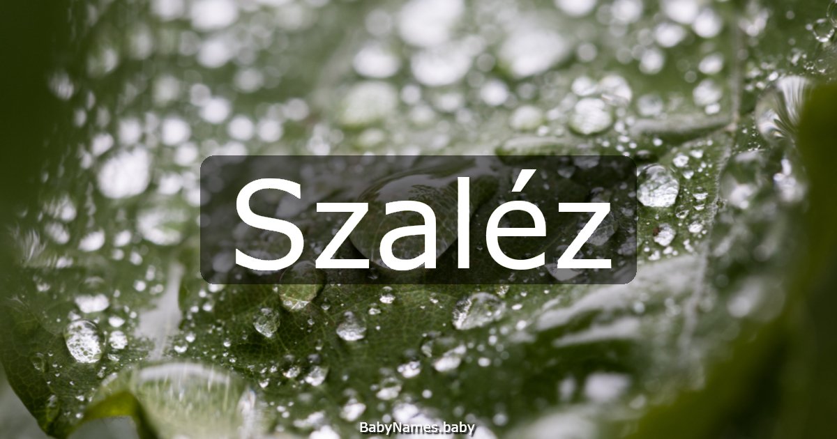 Szaléz