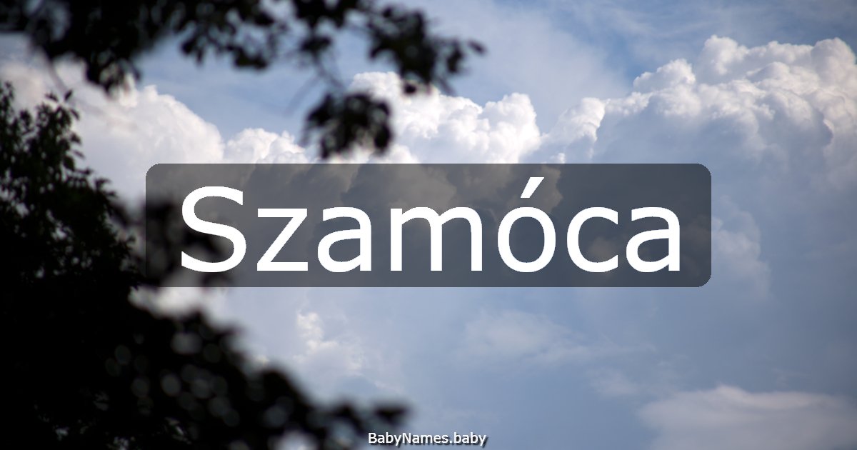 Szamóca