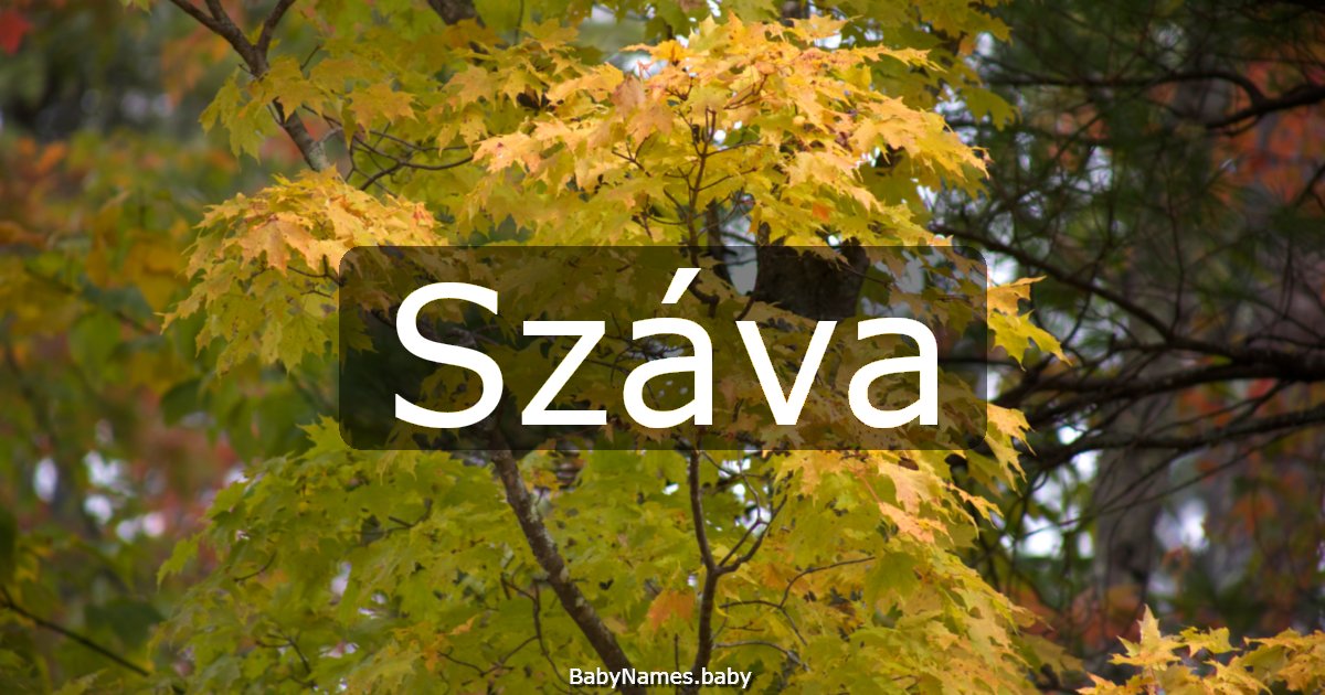 Száva