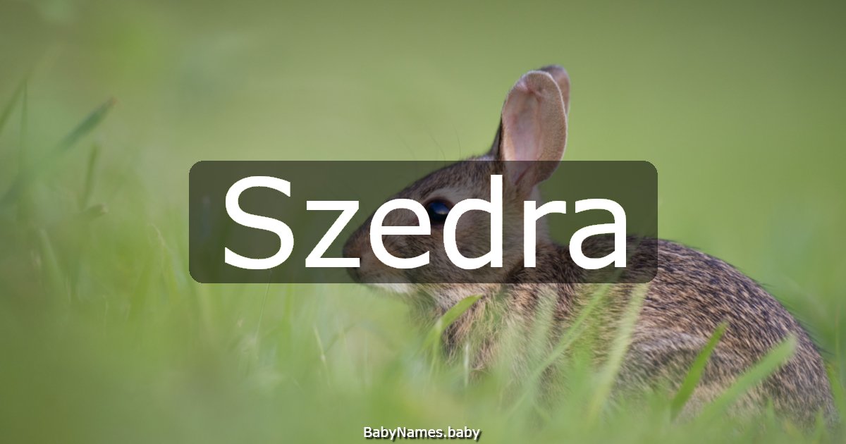 Szedra