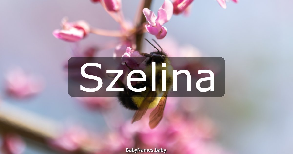Szelina