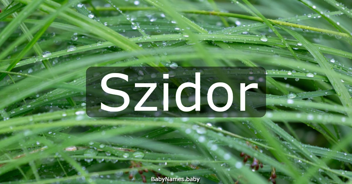 Szidor