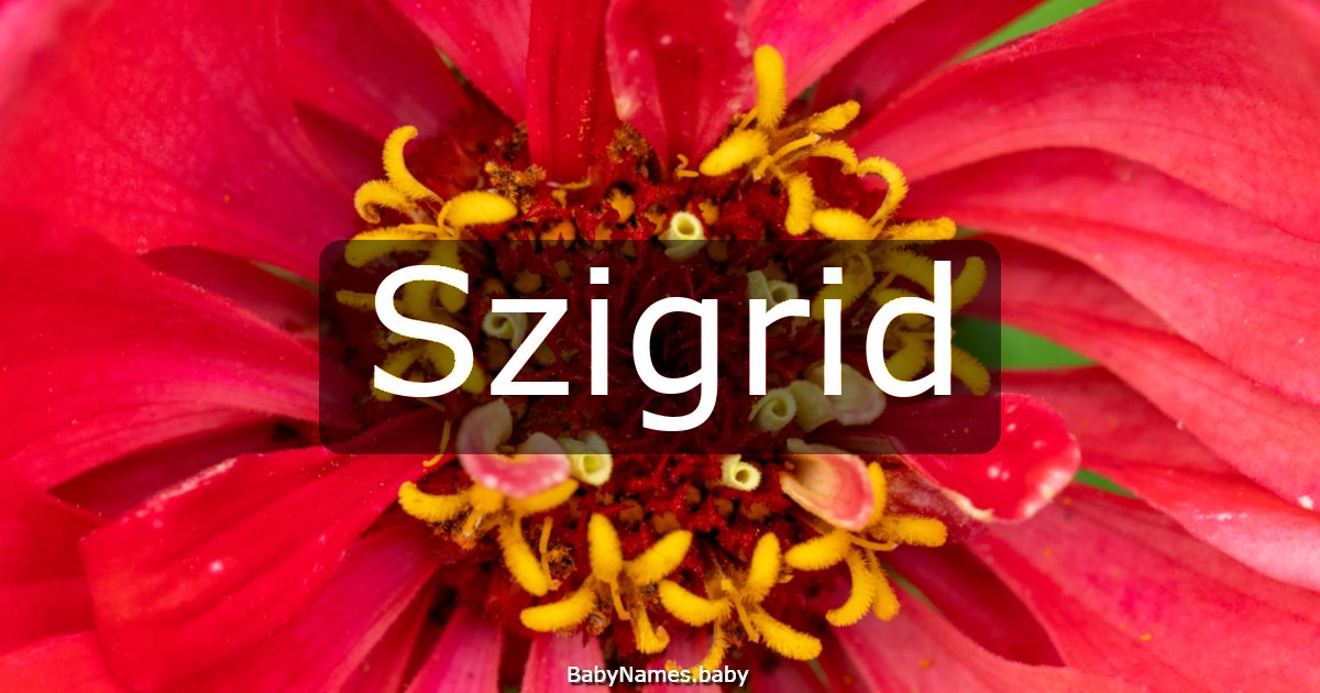 Szigrid