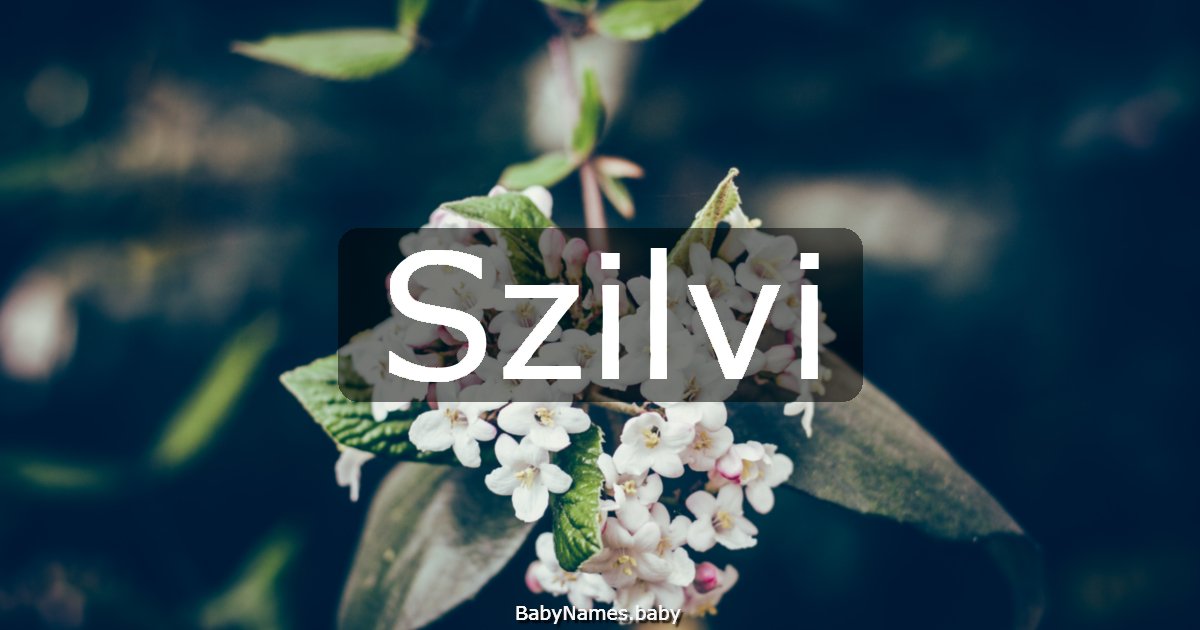 Szilvi