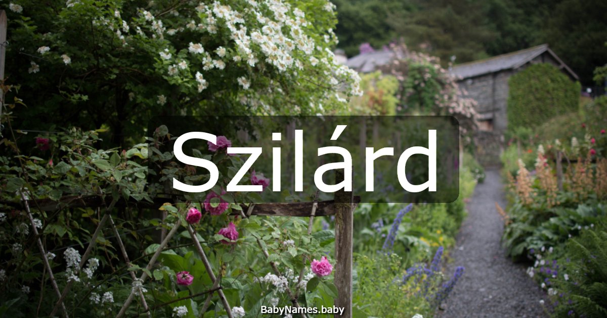 Szilárd
