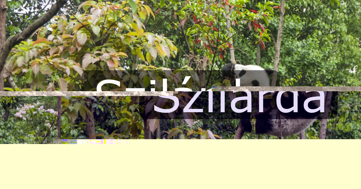 Szilárda