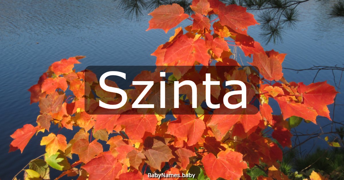 Szinta