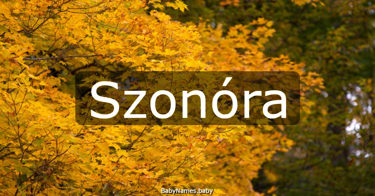 Szonóra