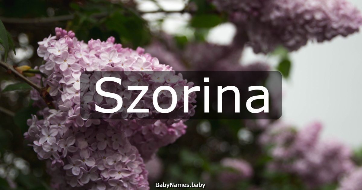 Szorina