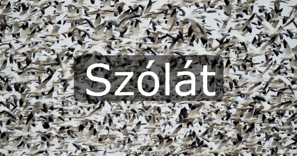 Szólát