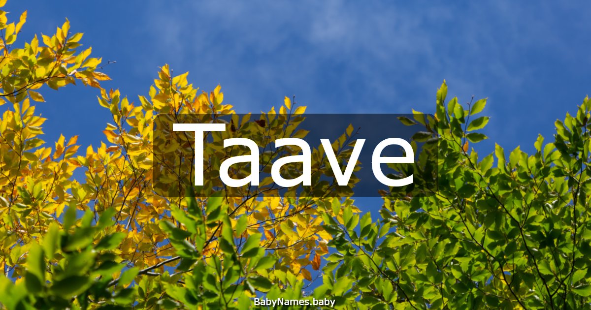 Taave