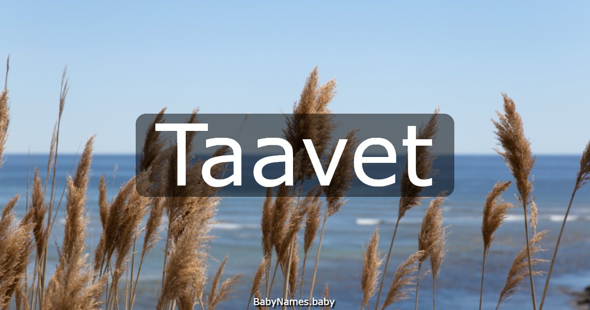 Taavet
