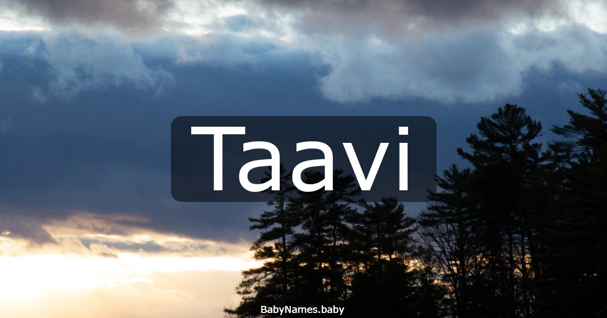 Taavi