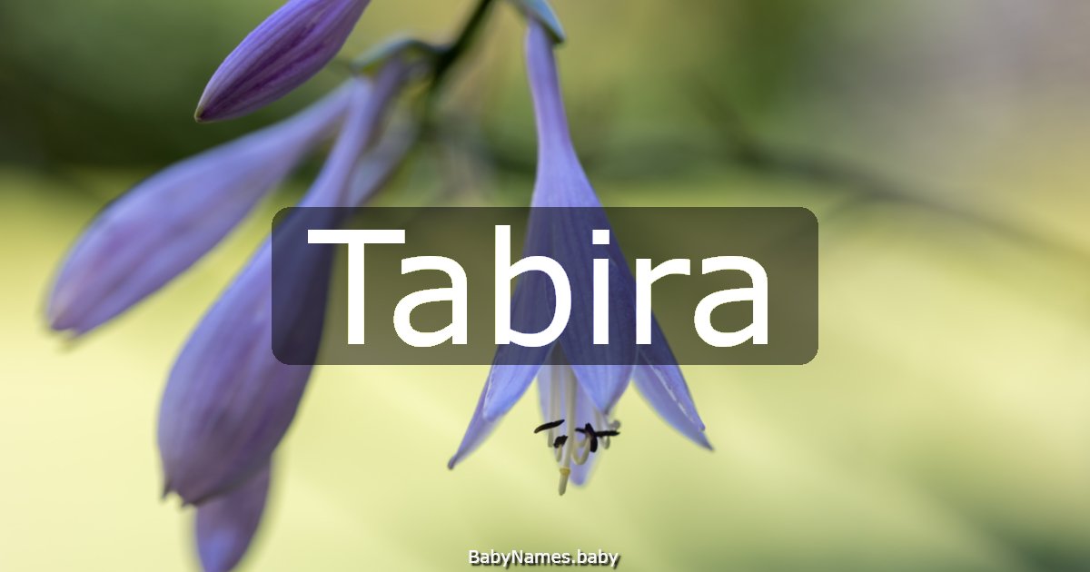 Tabira