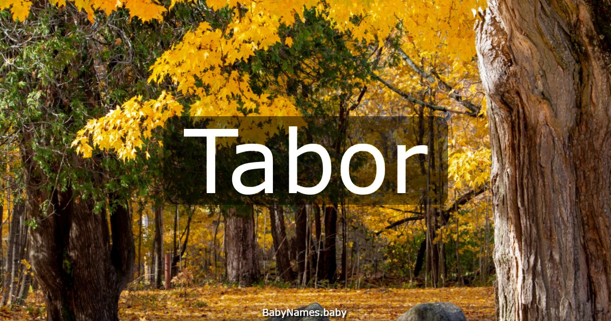 Tabor