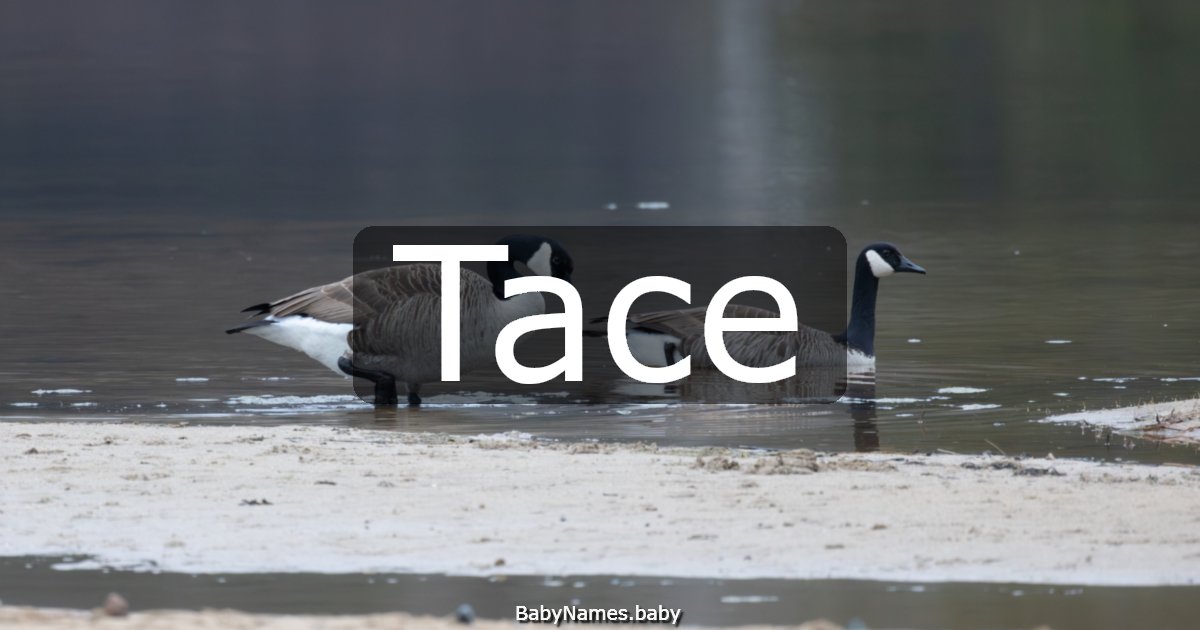 Tace