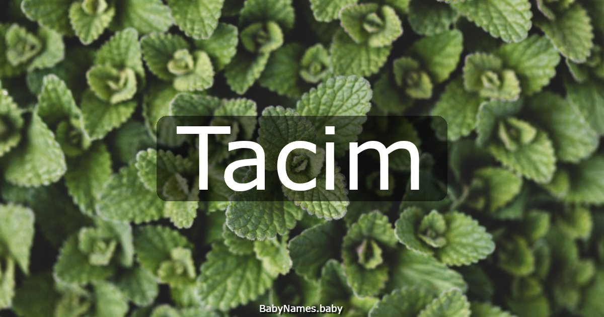 Tacim