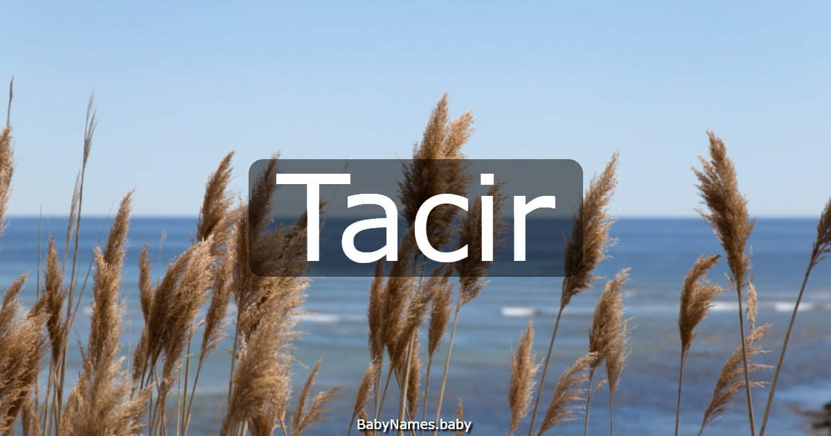 Tacir