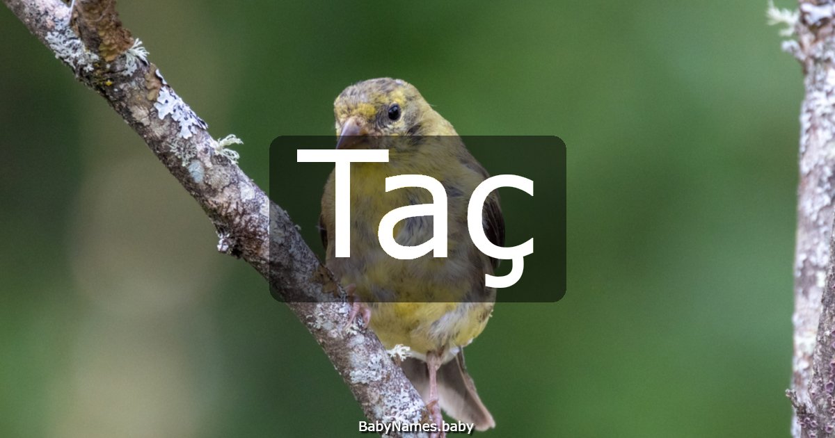 Taç