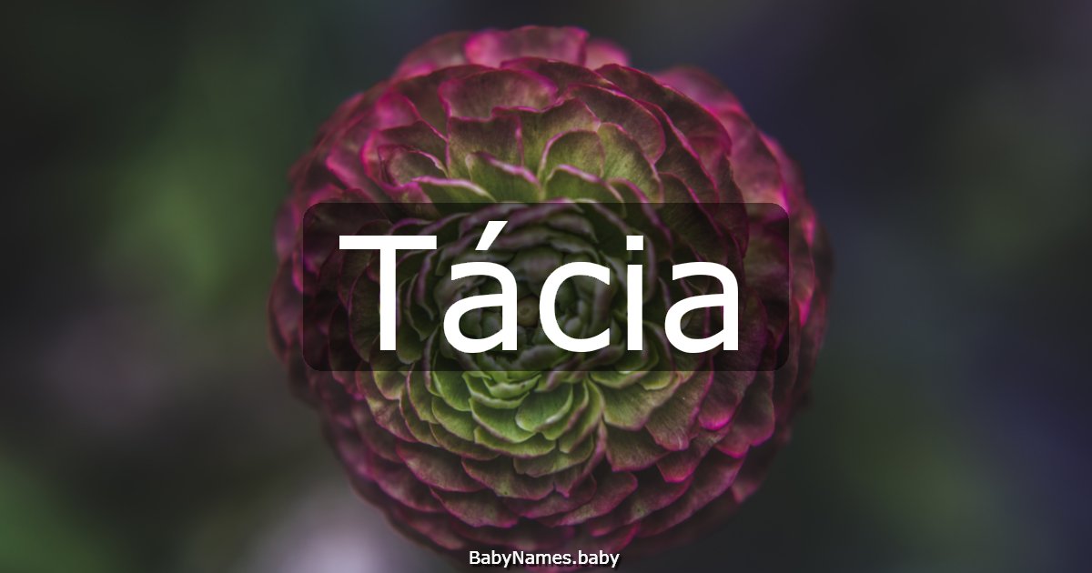 Tácia