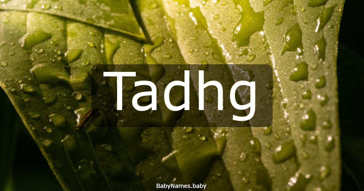 Tadhg