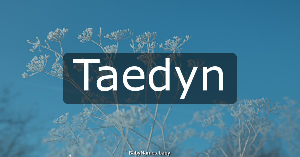 Taedyn