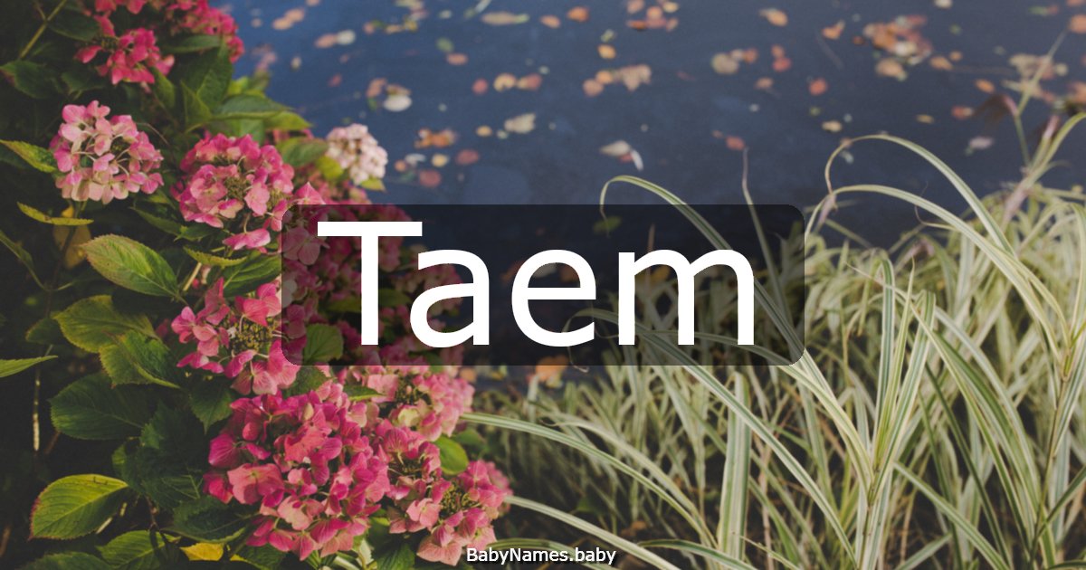 Taem