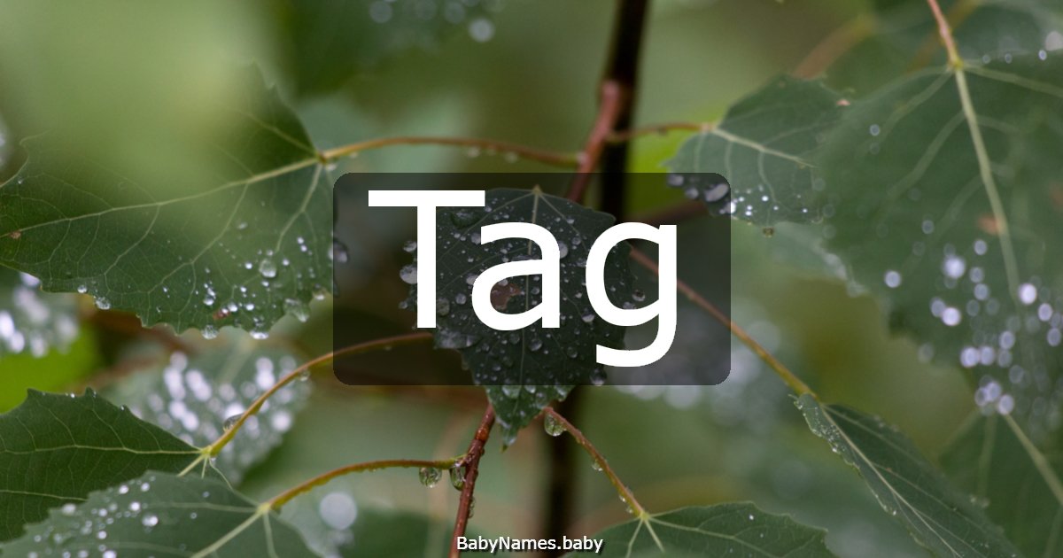 Tag