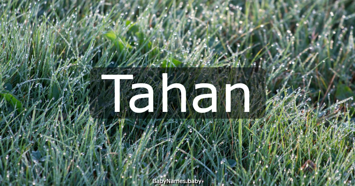 Tahan