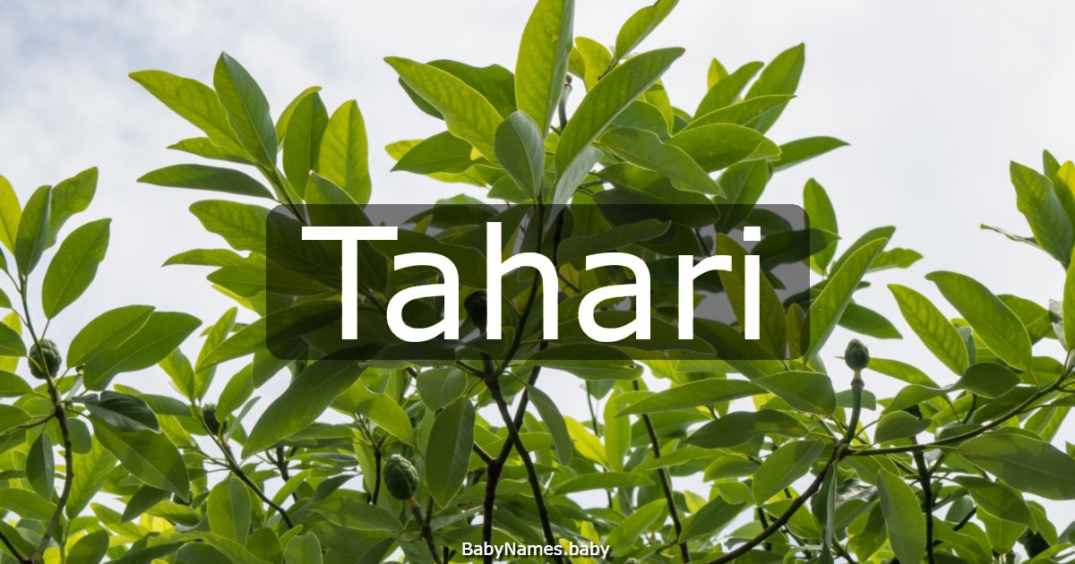 Tahari