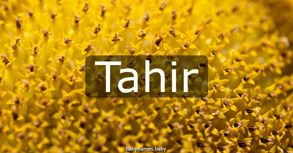 Tahir