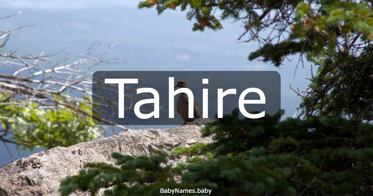 Tahire