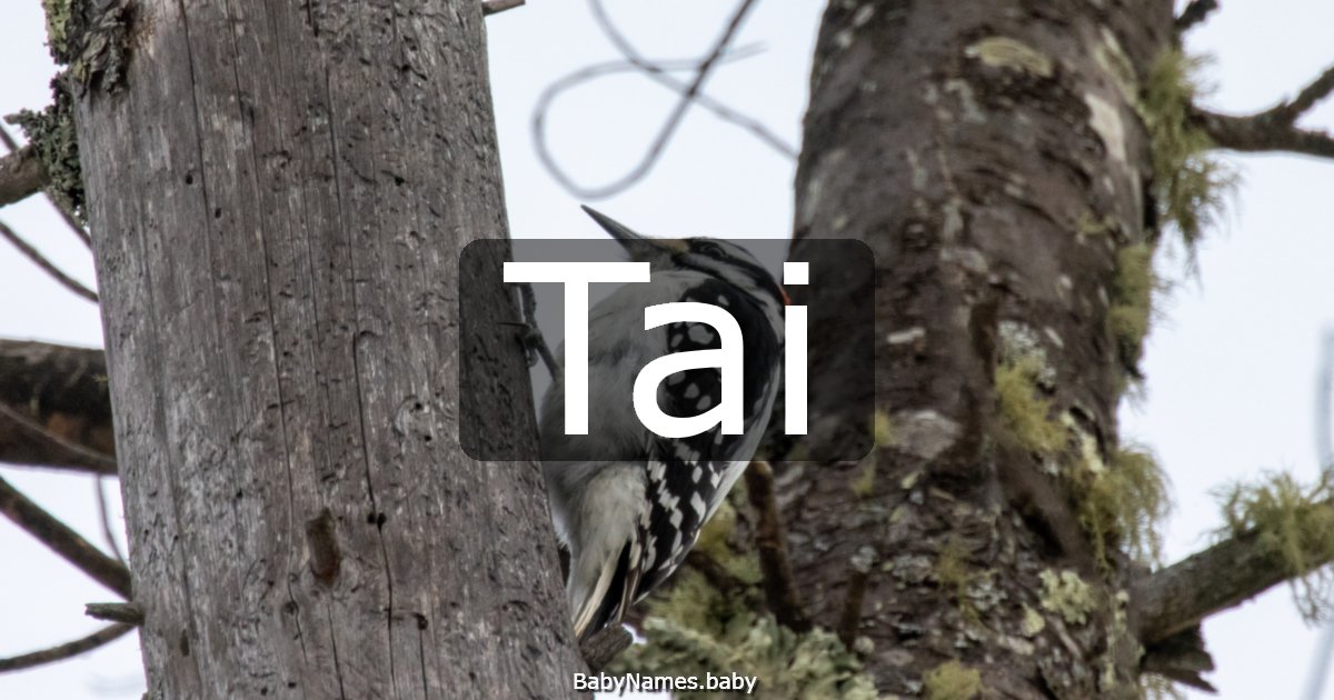 Tai