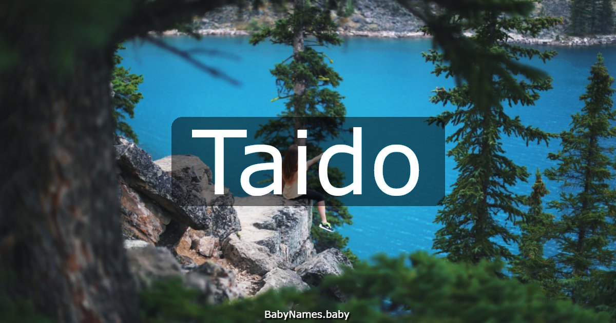 Taido