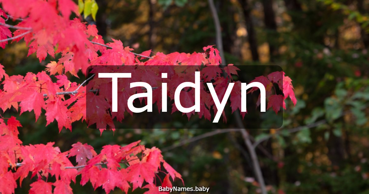 Taidyn