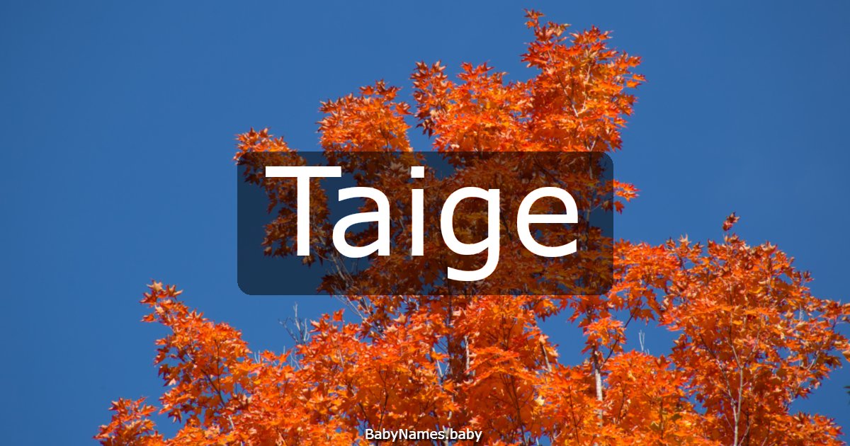 Taige