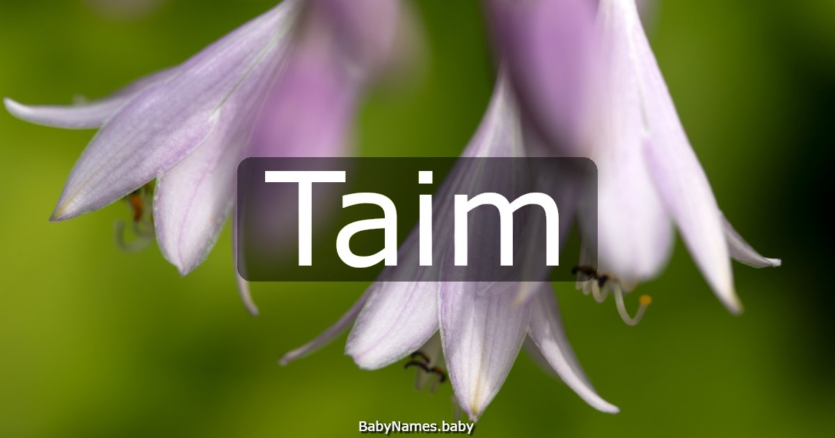 Taim
