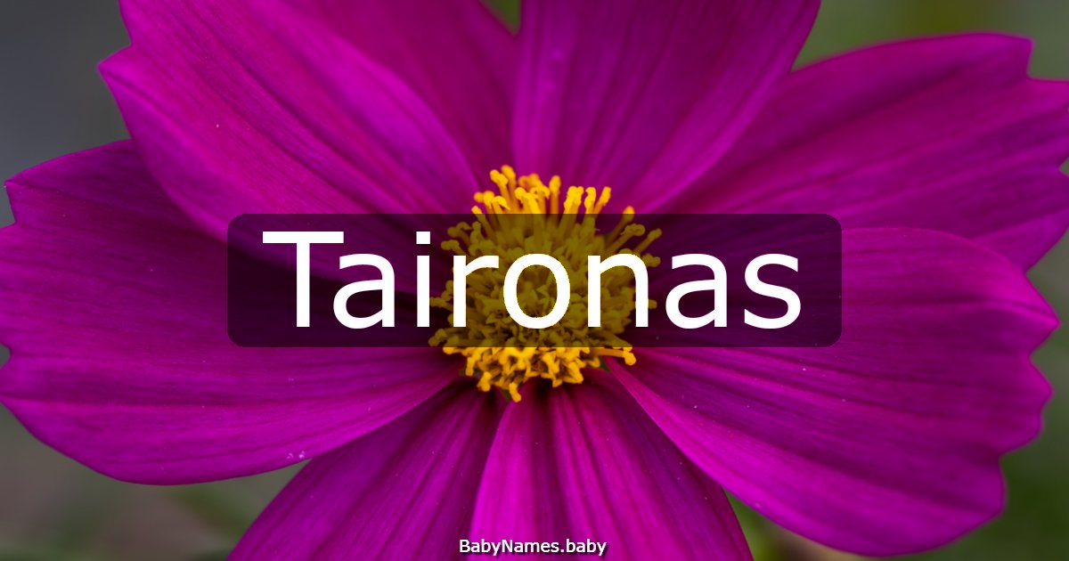 Taironas