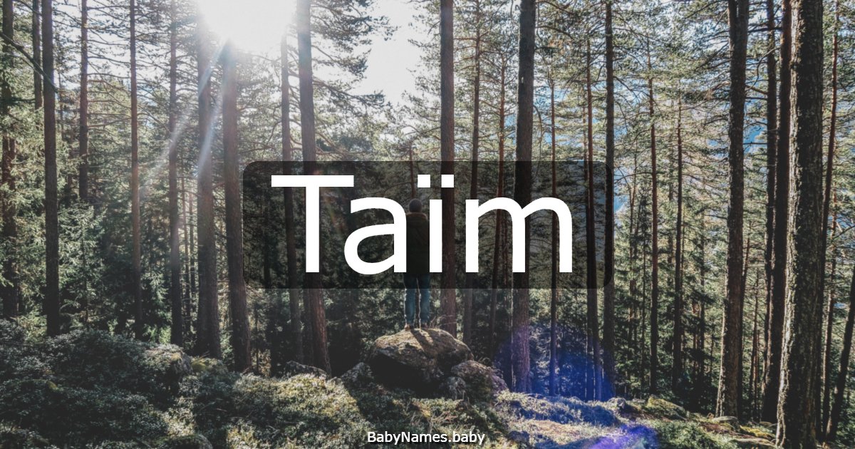 Taïm