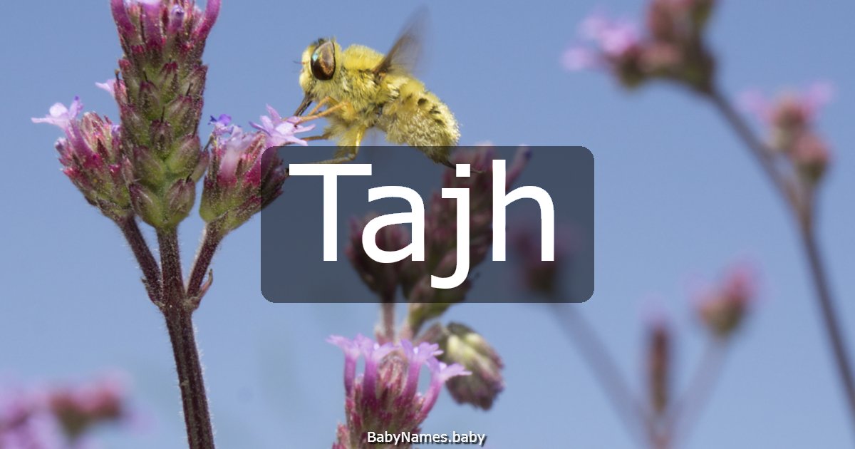 Tajh