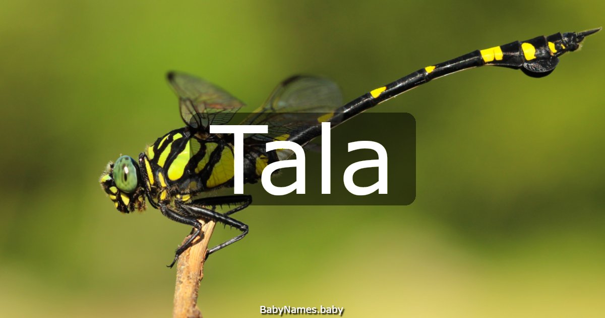 Tala