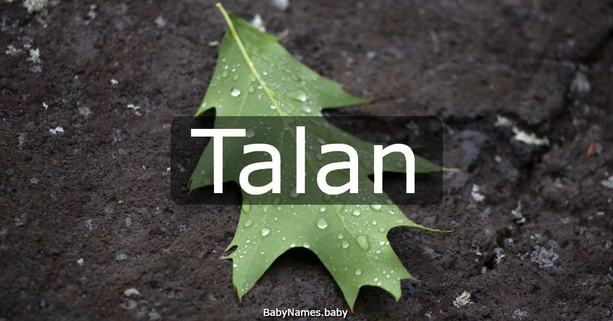 Talan