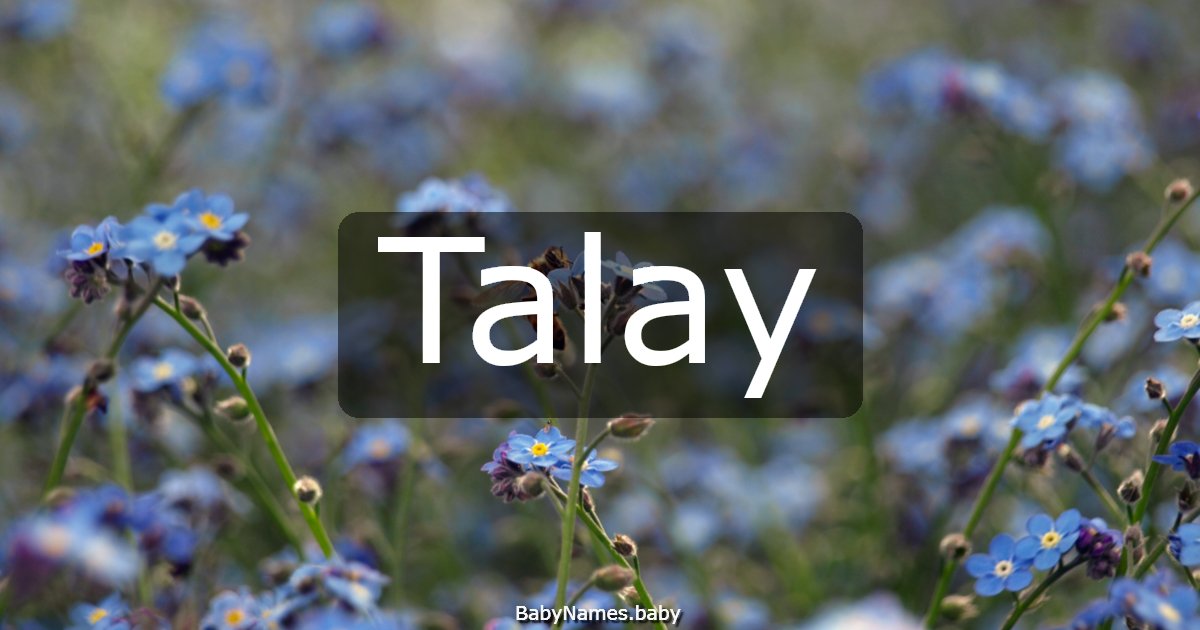 Talay